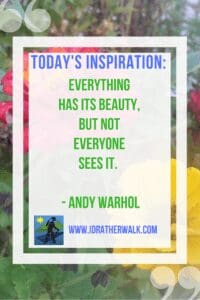 Find inspiration and new paths to explore in our Library: Wander, mosey or meander - get out and explore on foot!