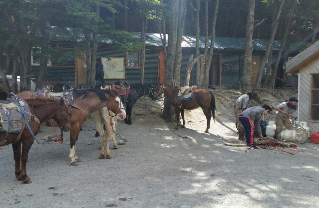 Peruvian cowboys prepare the horses for the trek