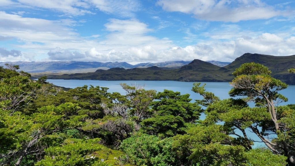 View of the lake from day 2 of the W Trek