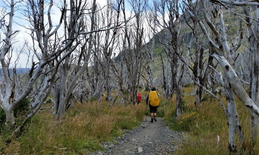 Hiking the W Trek in Patagonia