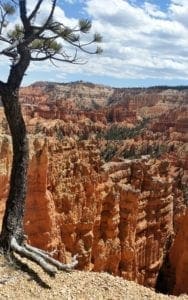 View into Bryce canyon State Park, Utah