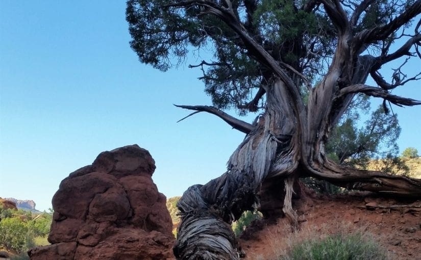 Tips for Your Visit to Arches National Park