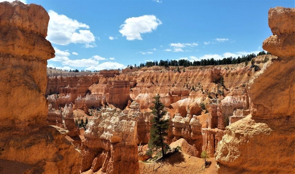 View of the rim from among the hoodoos