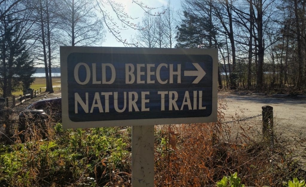 Trailhead sign for Old Beech Nature Trail