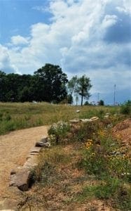 Meadow Trail at NCMA Park