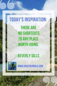 Find inspiration and new paths to explore in our Library!