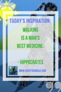 Find inspiration and new paths to explore in our Library! Take time to go for a walk.