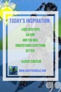 Go outside and get inspired!! Find inspiration and new paths to explore in our Library!