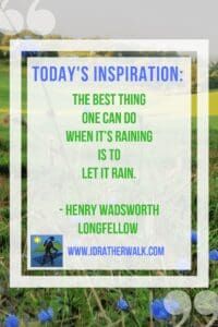 Rainy days are not bad days, they just offer different opportunities than sunny ones do! Find inspiration and new paths to explore in our Library!