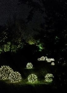 Light display for Moonlight in the Garden