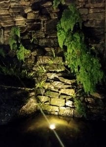 Paradise Garden at night
