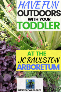 One very simple thing you can do for your child’s health is to make sure they spend plenty of time playing outside. The JC Raulston Arboretum is full of inexpensive fun outdoor activities for toddlers. Grownups and older kids like it, too.