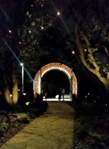 JC Raulston Arboretum entrance lit up for Moonlight in the Garden