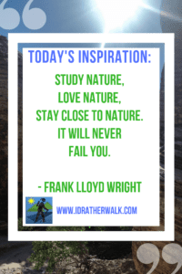 Take a walk outside for renewal and inspiration! Find more inspiration and new paths to explore in our Library!