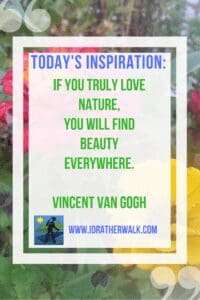 Take a walk outside for renewal and inspiration! Find more inspiration and new paths to explore in our Library!