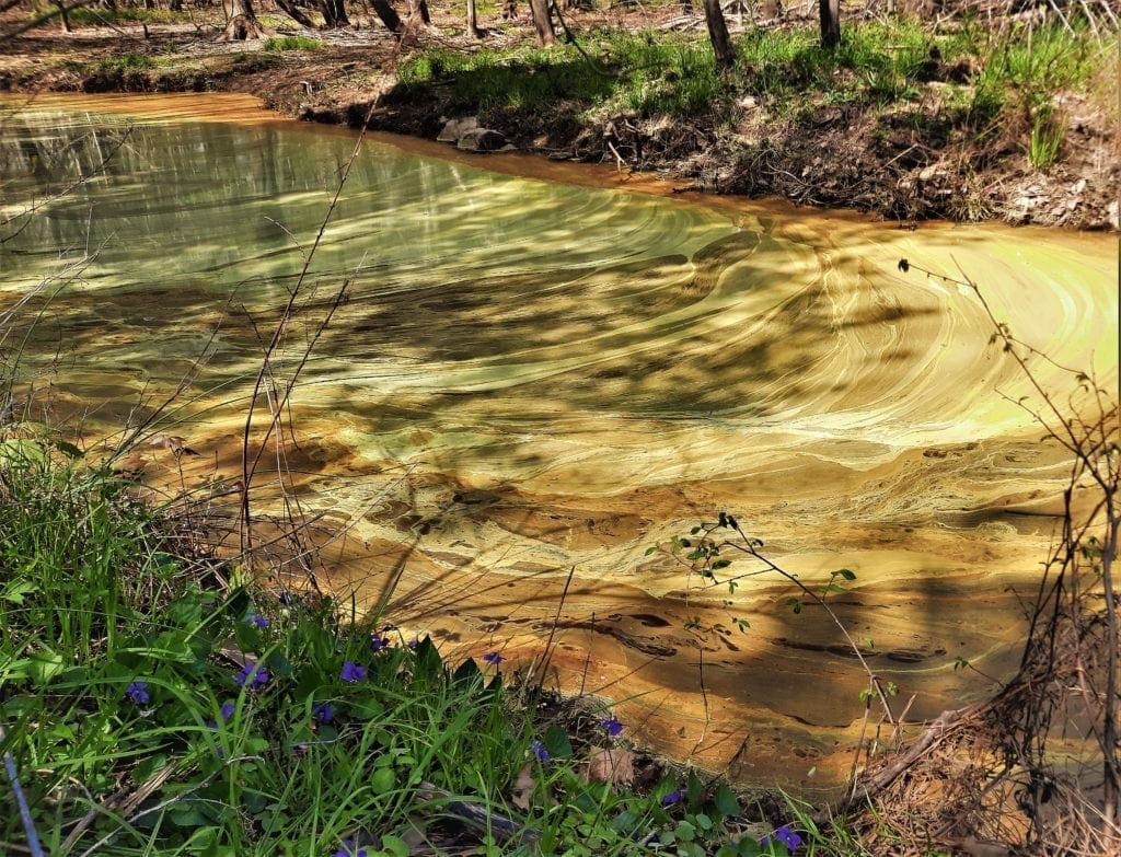 Pollen floats on the surface of a creek in Bond Park.