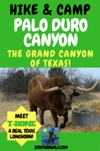 Palo Duro Canyon is less than half the size of the Grand Canyon, but it still offers great hiking, biking, horse-riding, and camping for the whole family. You can even meet some of the Texas State Longhorn herd! Read here about how you can visit this summer.