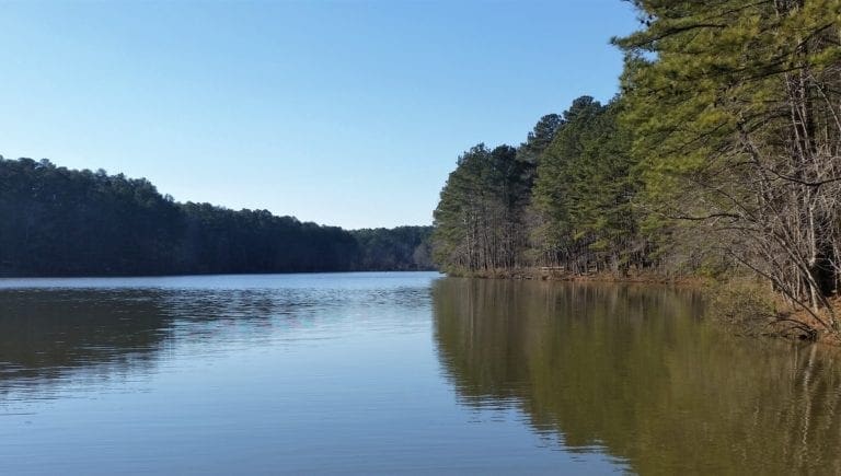 Run and Hike the Lake Pine Trail at Apex Community Park