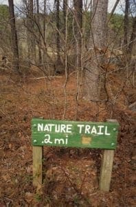 Short Nature Trail at Lake Pine