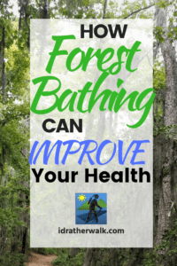 Forest bathing is a Japanese form of healing therapy that can be described as taking a leisurely walk through the forest for physical and spiritual benefits. You can take a walk with a guide, or you can do it on your own at home or in a park. Read on to learn more!