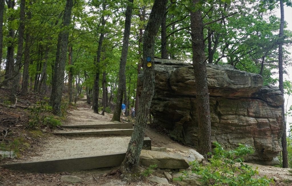The Grindstone Trail merges with the Ledge Spring Trail near the summit.