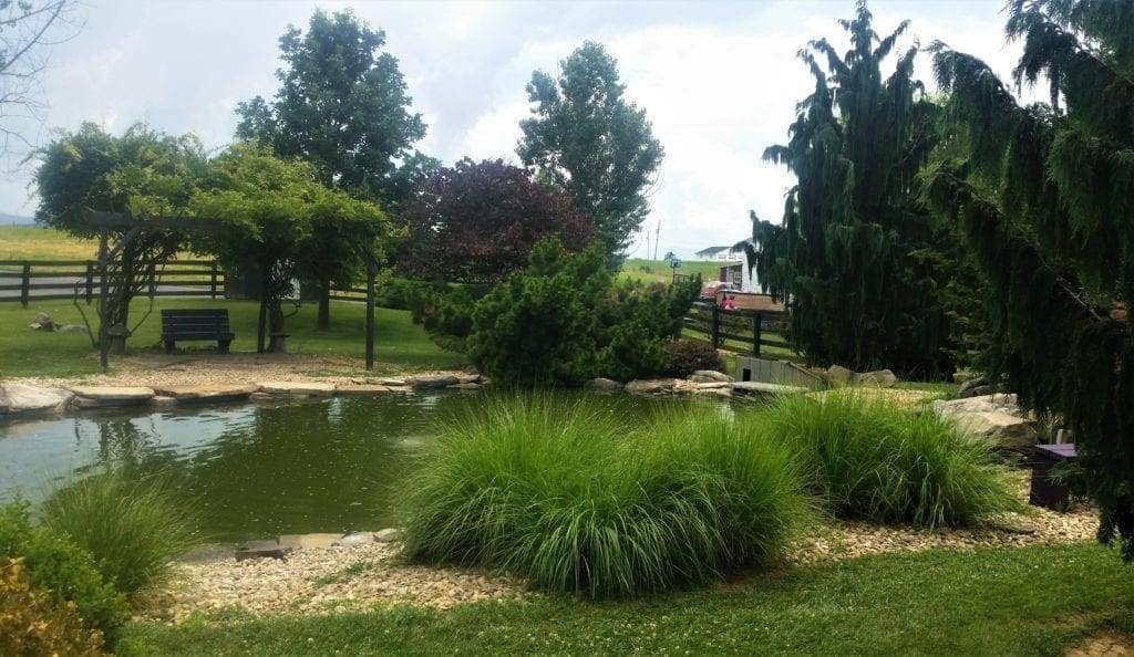The duck pond in the Discovery Area.