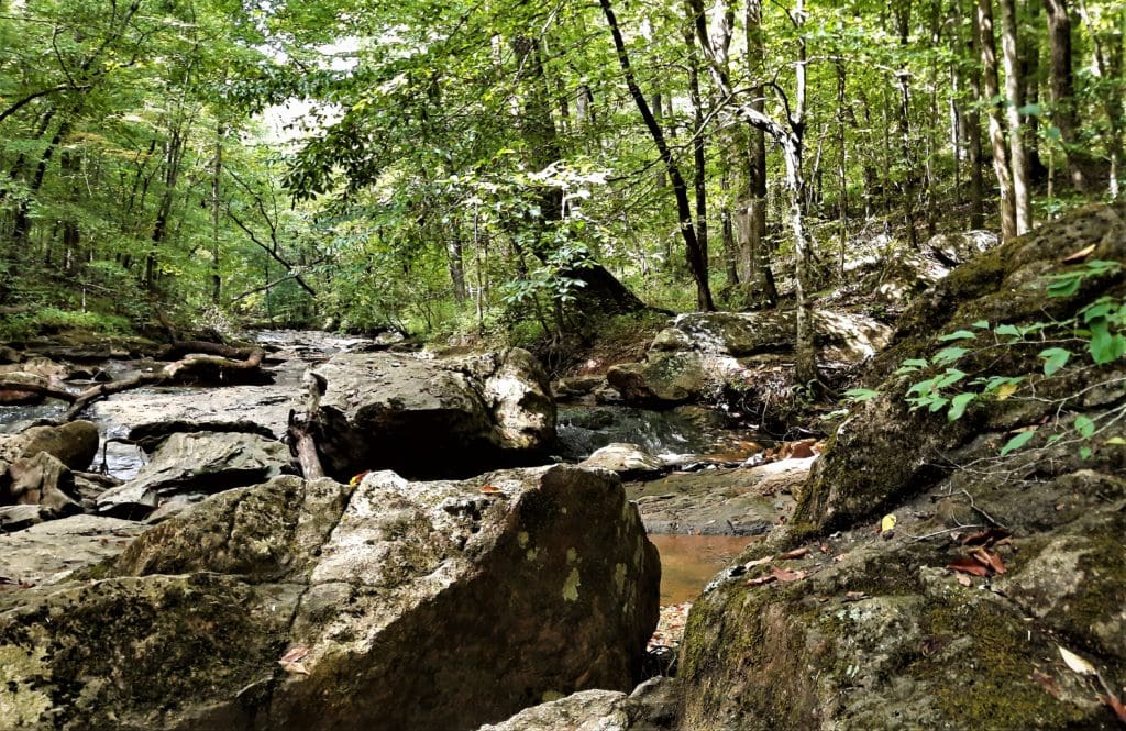 Large boulders in Horne Creek.