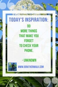 Put down your phone and experience the world in person! Find inspiration for new adventures and new paths to explore in our Library.