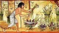 Reference to lavender is found in Ancient Egyptian documents
