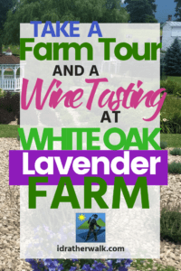 White Oak Lavender Farm & The Purple WOLF Vineyard is a family owned farm located in the beautiful Shenandoah Valley of Virginia. A visit to White Oak Lavender Farm was a perfect break from all of the sweaty hiking I was doing in nearby Shenendoah National Park. The Farm offers wine tastings, farm tours, lectures, classes, a farm petting area and a lovely lavender gift shop all in a historic setting.They were also only a 20 minute scenic drive from my lodgings near Shenandoah National Park. Here's what you need to know for your visit!