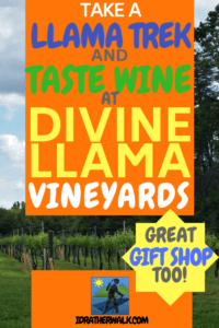Fall is a great time to take a llama trek or get a wine tasting at Divine Llama Vineyards! It's a great outdoor activity for kids, too! After your trek or tasting, you can pick up some gifts at the Divine Llama gift shop. Get the details here!