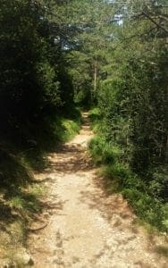 Natural trail in the Aragonese pyrenees