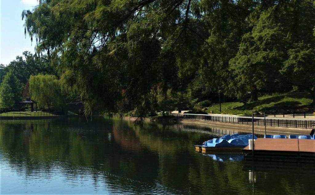 Paddle boats are available for rent on Lake Howell in Pullen Park.