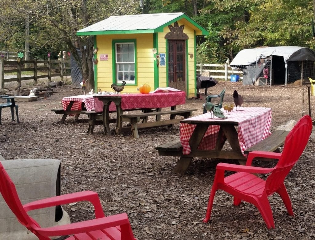 There are picnic areas both with and without chickens.