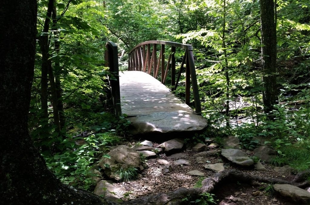Bridge on the accessible Limberlost trail in Shenandoah National Park