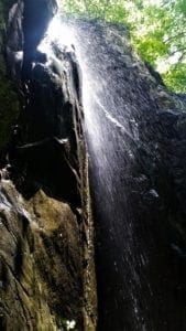 Spray from falls along Whiteoak Canyon trail.