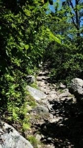 The steep trail to Mary's Rock summit is very rocky.