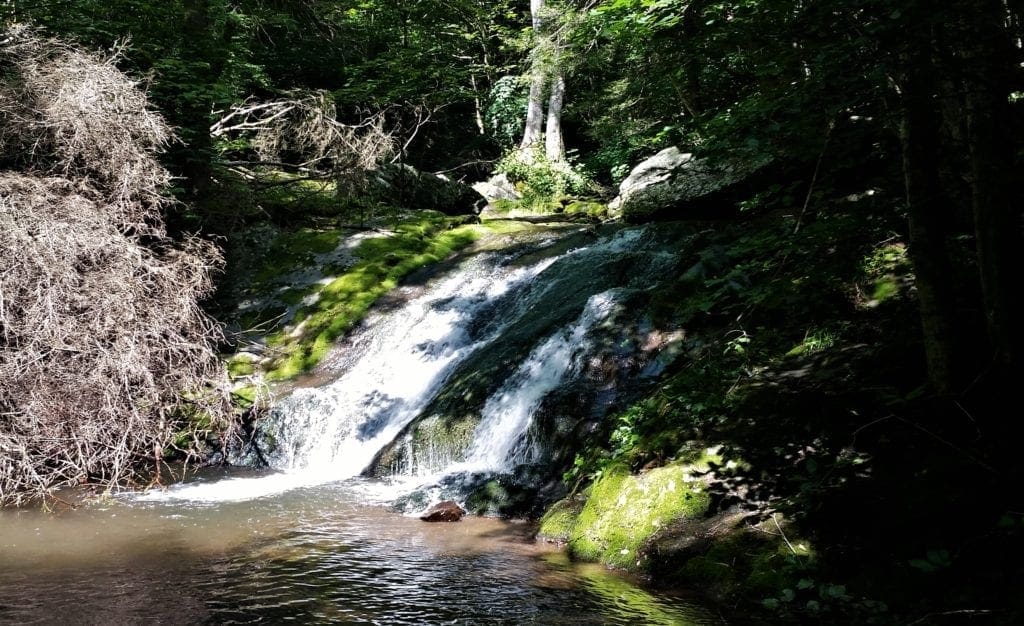 Waterfall on Rapidan Camp trail at Shenandoah National Park