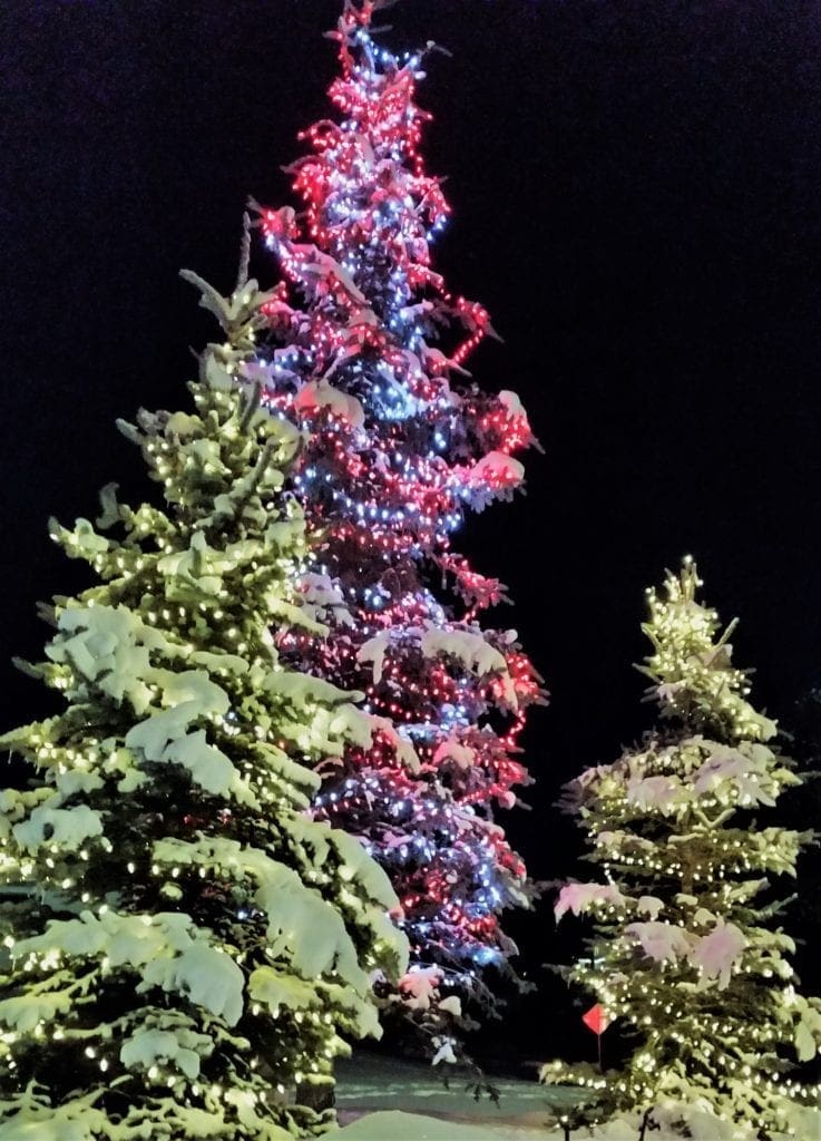 Lighted Christmas trees in the snow in Big Bear, CA