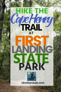 First Landing State Park's Cape Henry Trail winds through many diverse habitats, including the rarely-found maritime forest. The trail runs for 6.1 miles (one way) through heavily wooded forests, paved urban segments and peaceful, quiet beaches - and is a great dayhike for adults and families year-round. You can easily add on an afternoon at the beach, too! Read more for details.