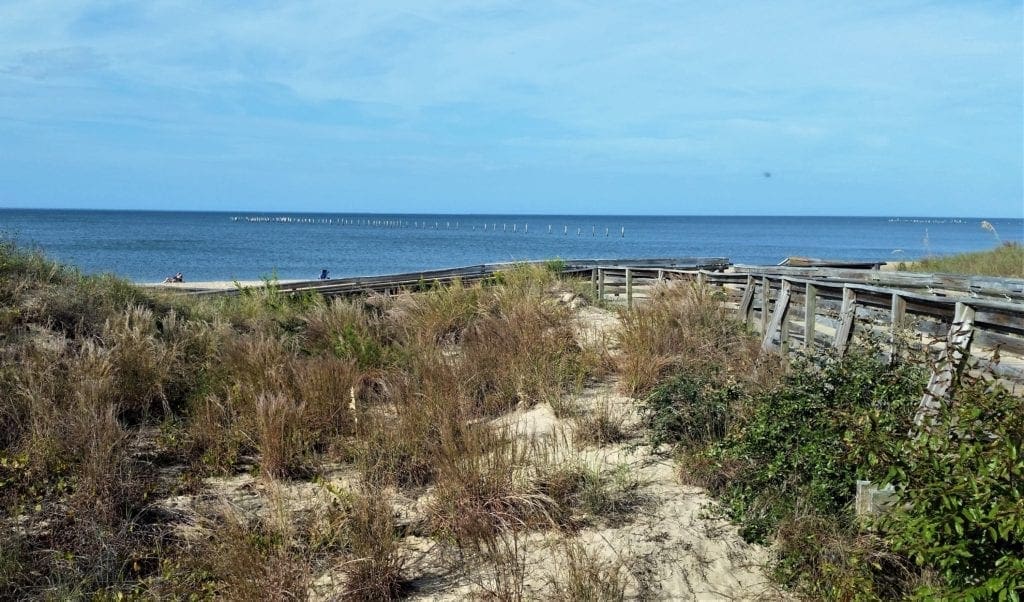 First Landing State Park's beach at Cape Henry on the Virginia coast.