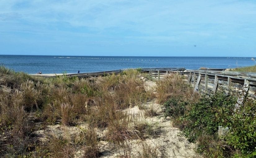 First Landing State Park – Hike the Cape Henry Trail