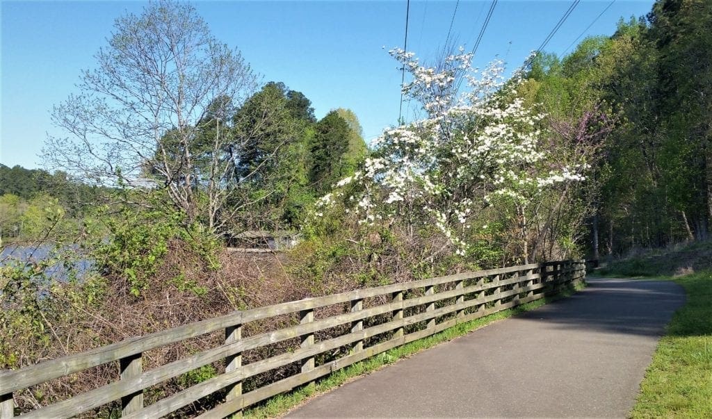 Paved trail beside Big Lake in Umstead State Park