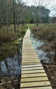 One of the spots that can get wet on the Crabtree Lake Trail