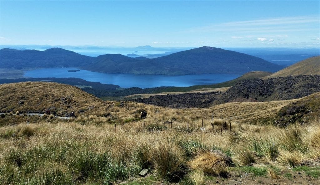 View across the park to Lake Rotoaira