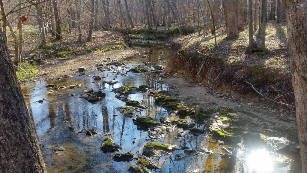 View of the creek along the Black Creek Greenway