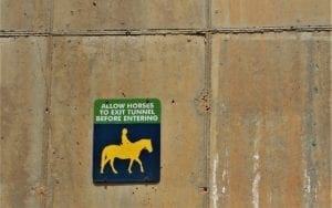 Horses are allowed on the American Tobacco Trail