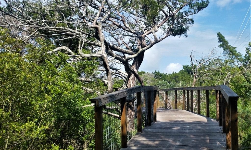 A portion of the trail goes over raised boardwalks.