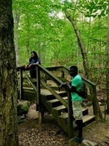 Hiking the Loblolly Trail in Umstead State Park