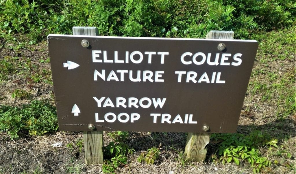 Trail sign for Yarrow Loop.